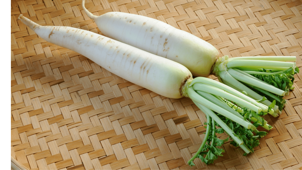 Radish Daikon Nutrition Facts, Health, Consumption and Recipes