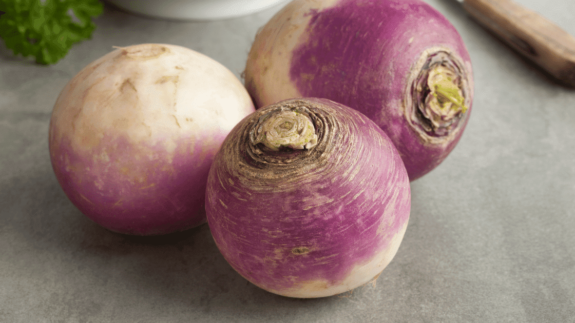 turnip 