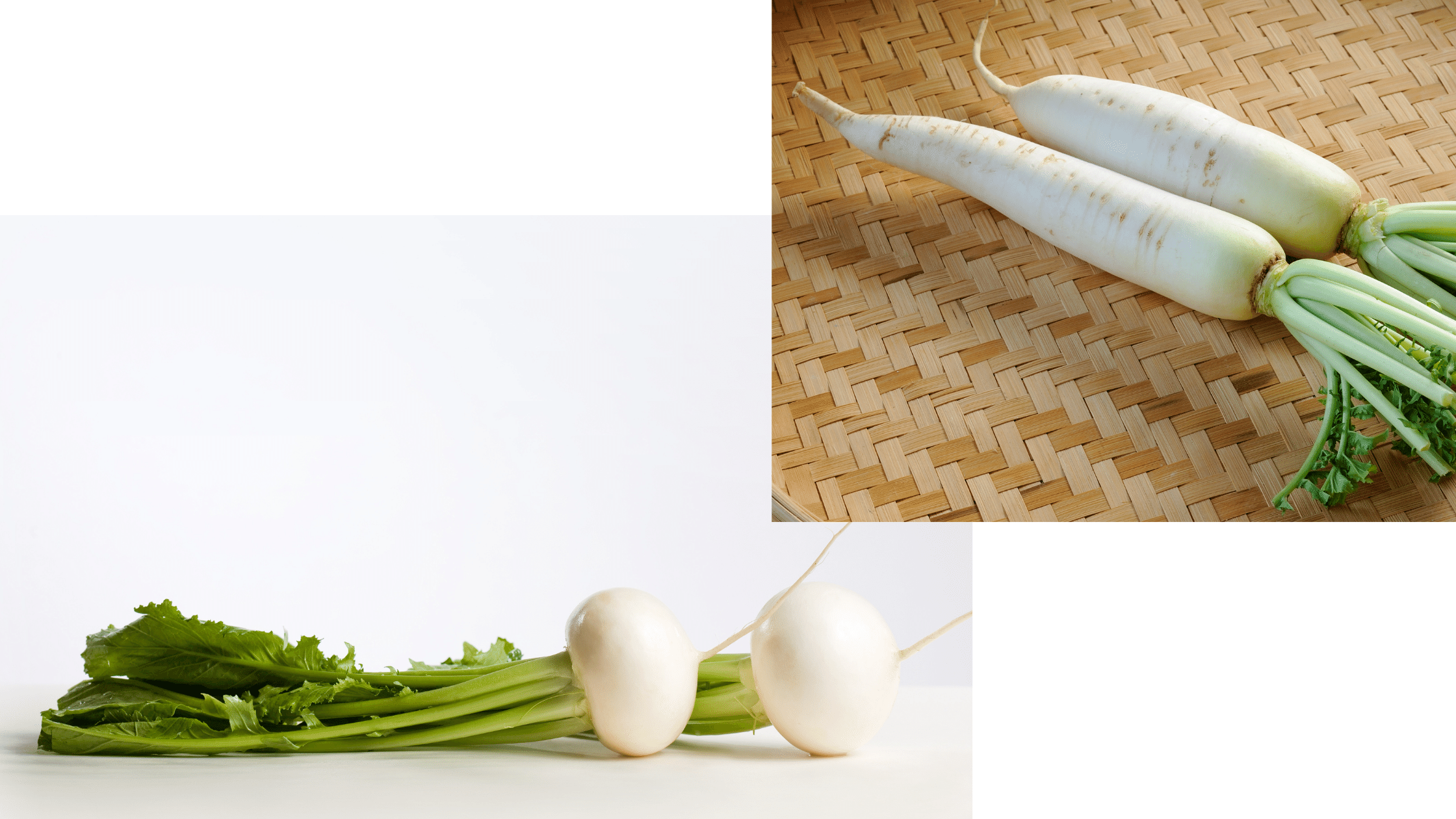 white radish vs daikon