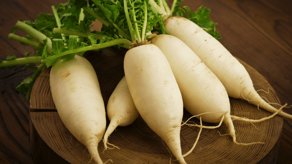 white radish